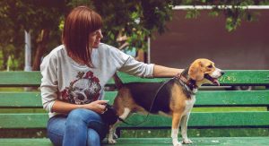 Vets in Bognor Regis