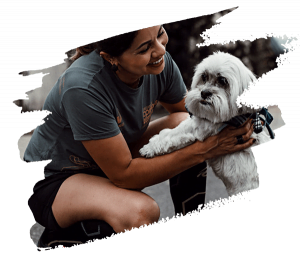 Vet Services in Bognor Regis VetsCarePets