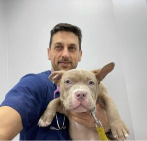 Vets in Bognor Regis