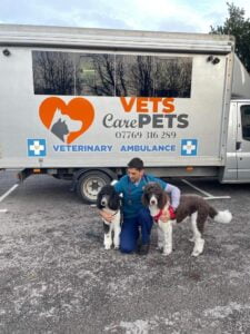 Vets in Bognor Regis