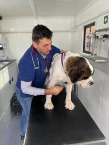 Vets in Bognor Regis