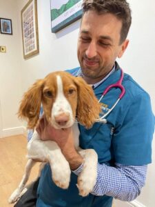 Vets in Bognor Regis